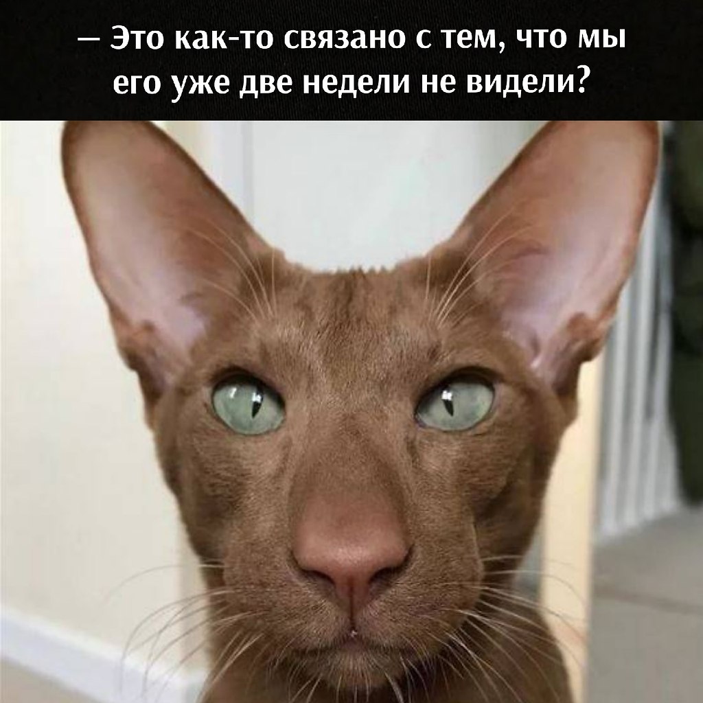       - 15  2021  16:32 - 4
