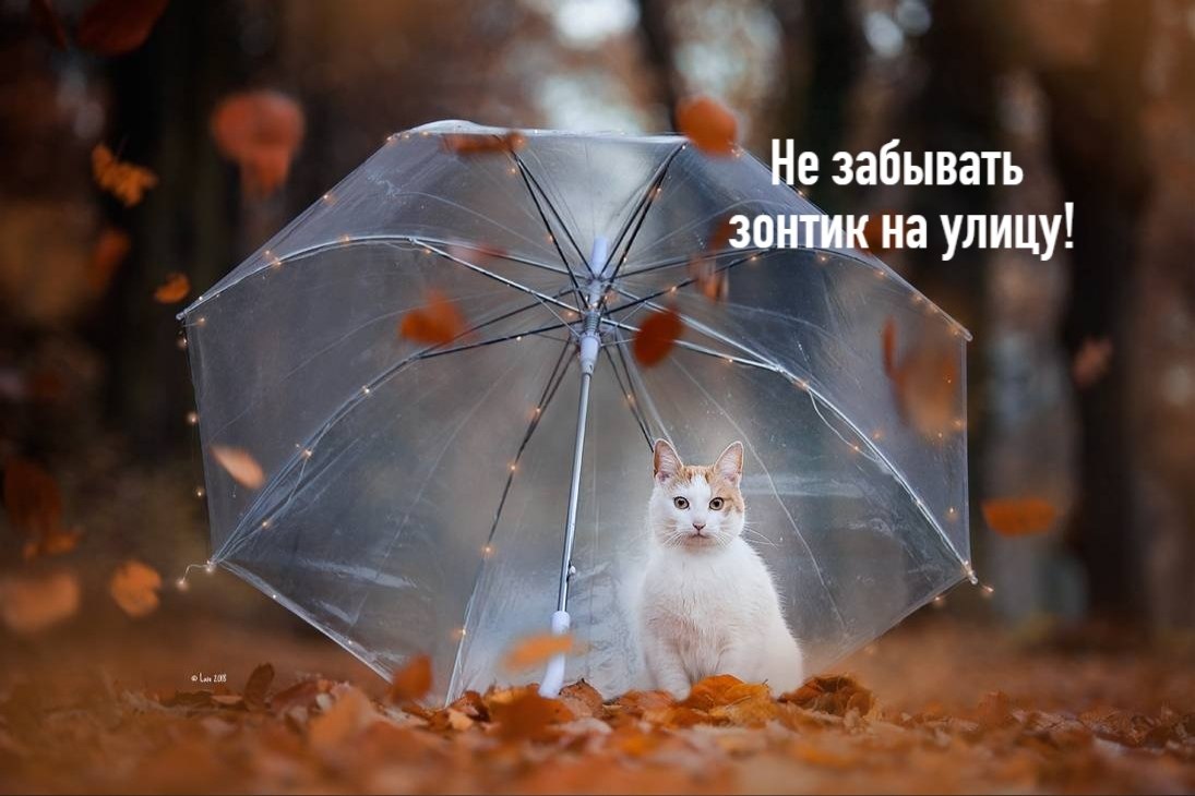  !)) - 5