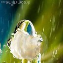 ���� ������, ������������ - ��������� 24 �������� 2020 � ������ ��������