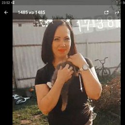 ���� �������, ������, 47 ��� - ��������� 19 ������� 2020