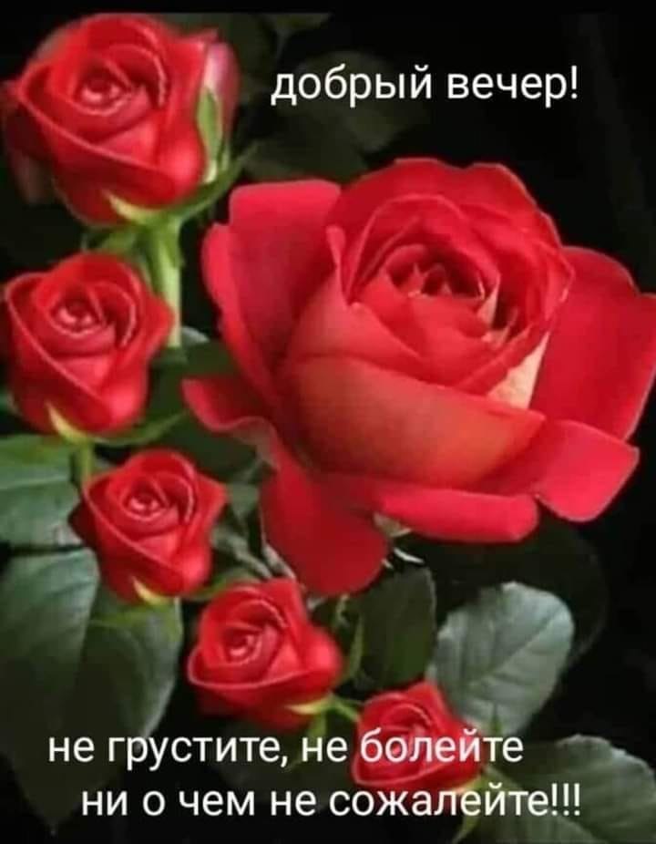   ,    . - 13  2020  21:01 - 10