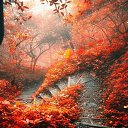  Olga S****,  -  28  2020   ,  !