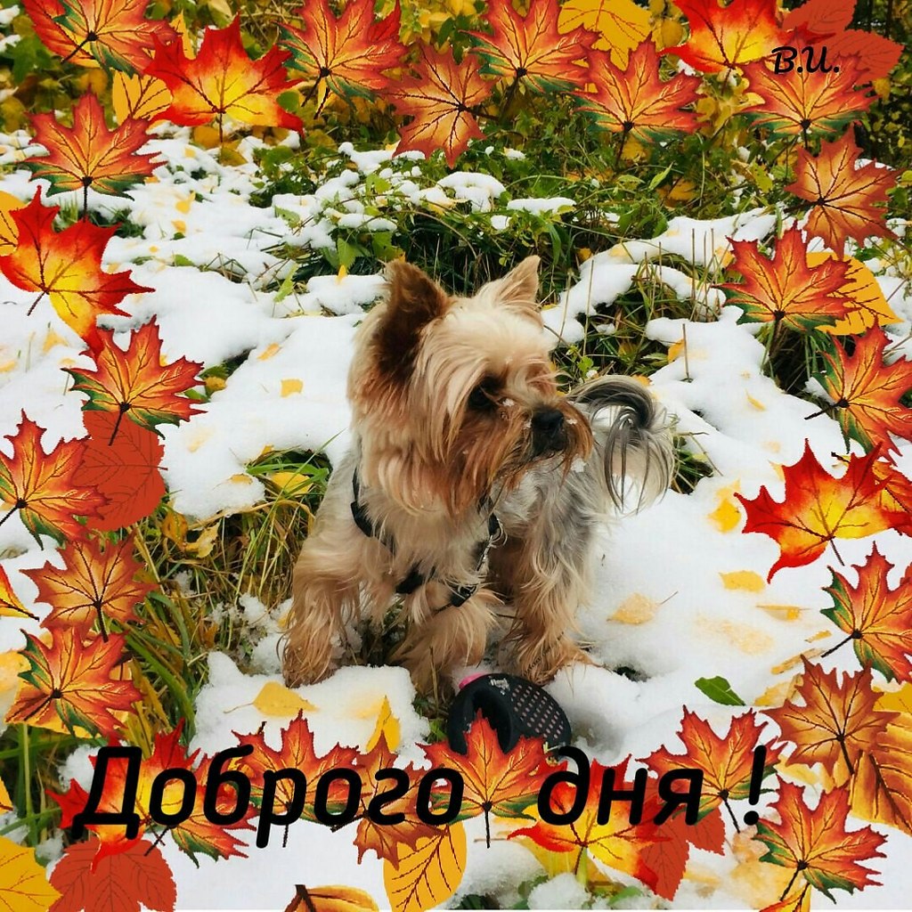   ,    . - 17  2020  23:40 - 7