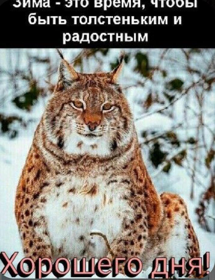 ***Victoria Viktorovna*** - 28  2021  04:04
