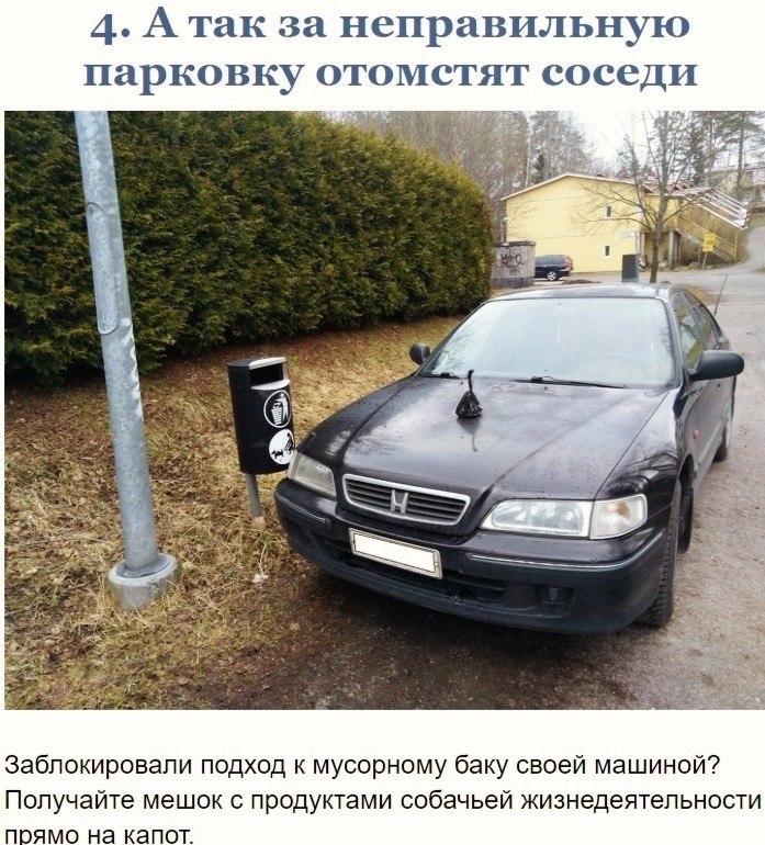     - ,        - 5