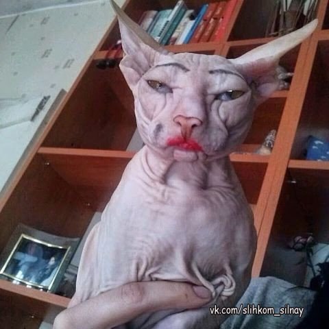 Когда женщины за 60 хотят выглядеть на 25.