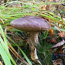 ���� �������, �����-���������, 65 ��� - ��������� 4 ������� 2020 � ������ �3 ������� 2020�