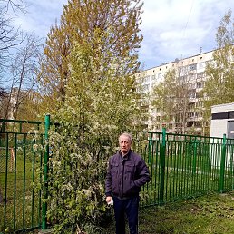 �����, �����-���������, 75 ���