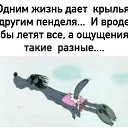 ���� ����, ����-�����������, 47 ��� - ��������� 2 ������� 2020 � ������ ���� ����������