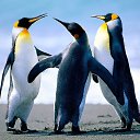 ���� ������, �����, 40 ��� - ��������� 18 �������� 2020 � ������ ���� ����������