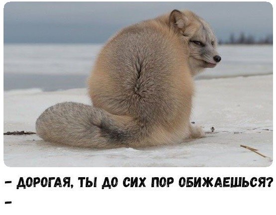 ...  !!!