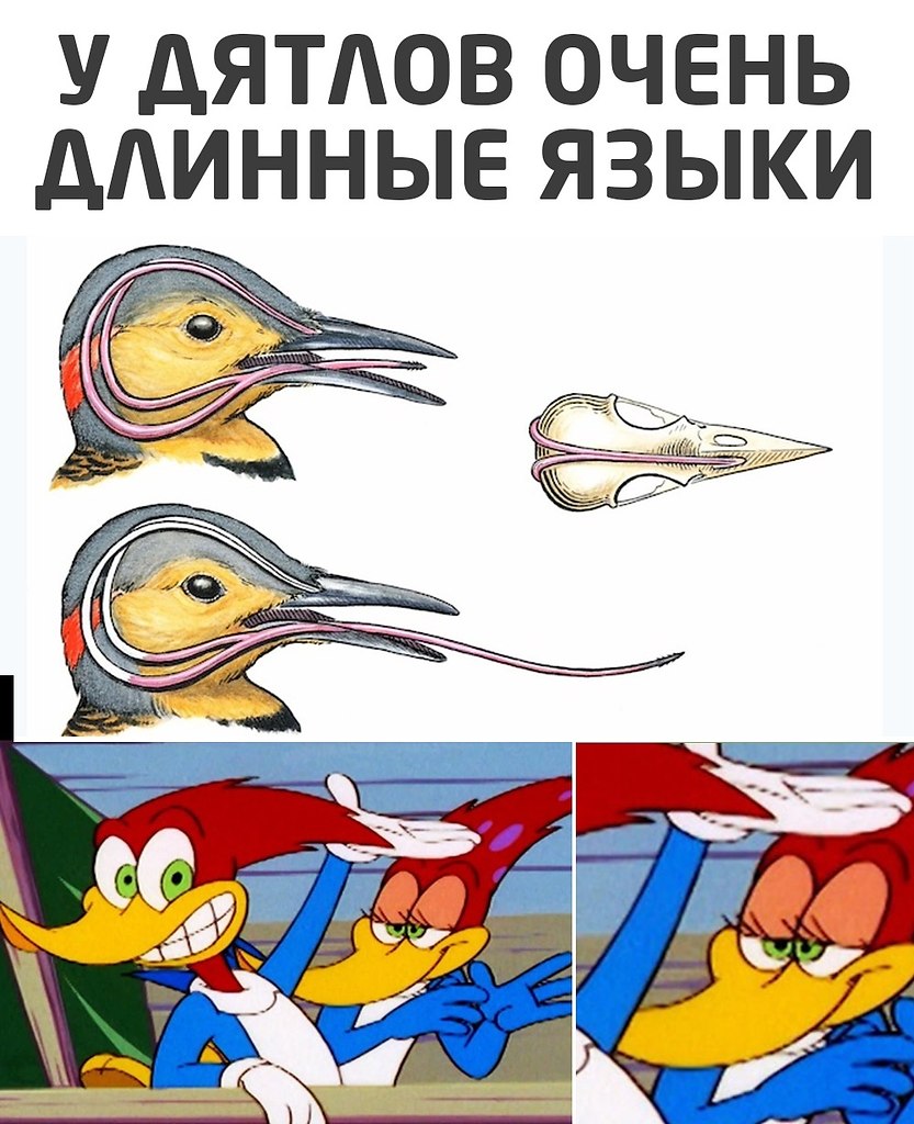 ׸���� ������� - 2 ������ 2020 � 18:53