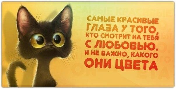    - 24  2021  03:39