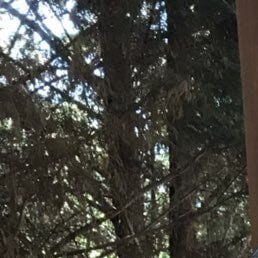 ���������, ������, 68 ���