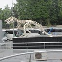 ���� �������, ���������, 68 ��� - ��������� 12 ������ 2021 � ������ ������