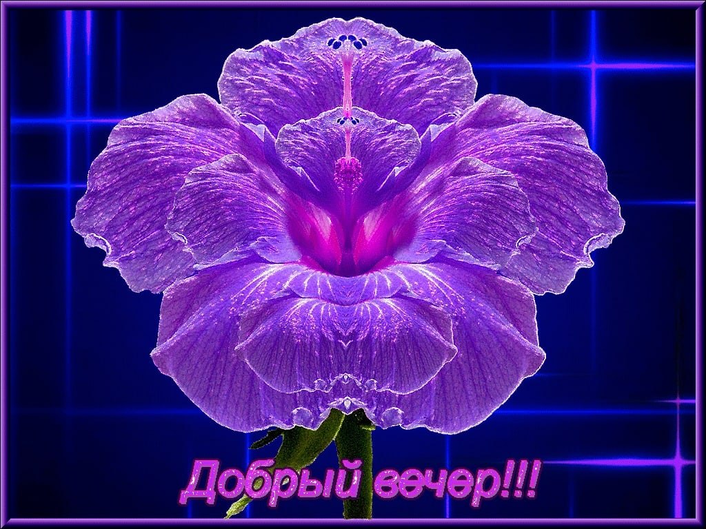   ,    . - 4  2020  17:23 - 9