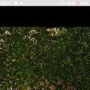 ���� �����, ���������, 44 ���� - ��������� 5 ������� 2020