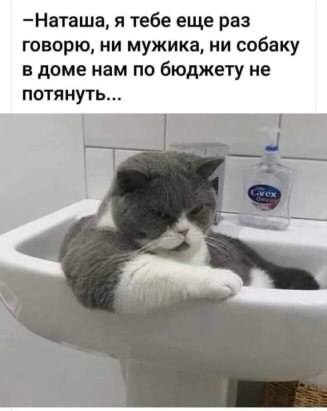  (   ) - 29  2020  08:08