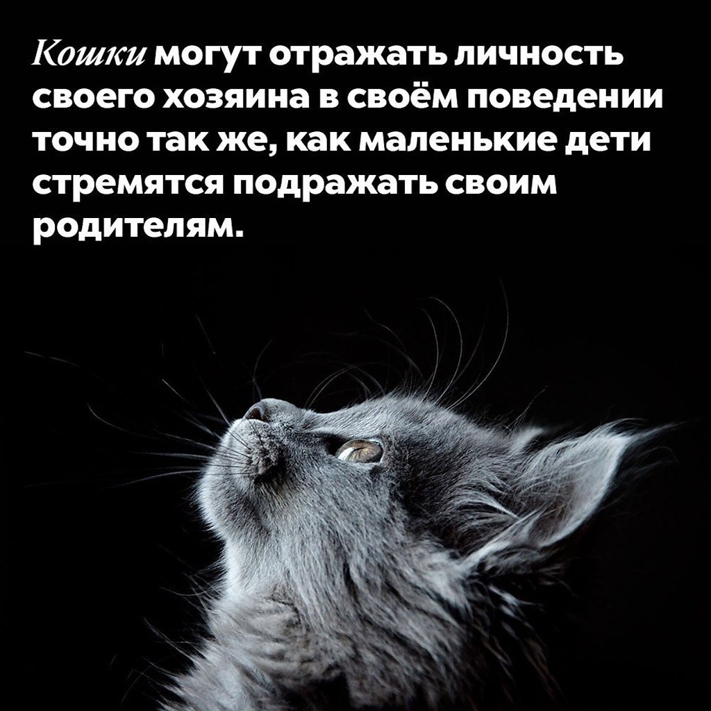  - 5  2021  00:36