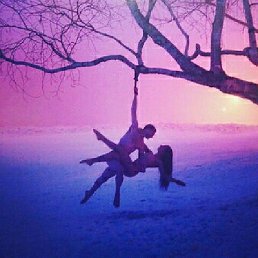 ����, �����������, 37 ���