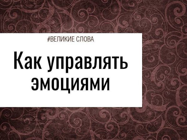 «Тот день, когда вы возьмёте на себя ответственность за своё будущее и прекратите оправдывать свои ...