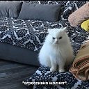 ��, ���, �� ���� ������:))) �� ������� ��������)))�