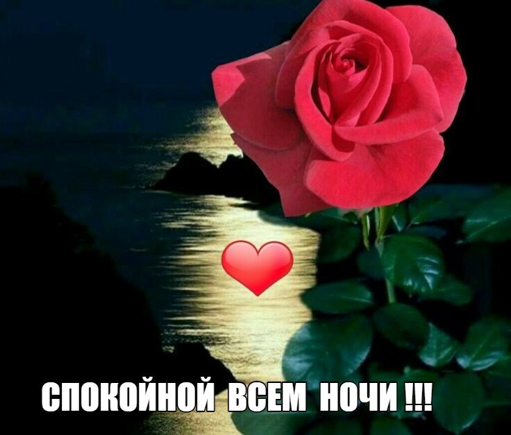   ,    . - 21  2020  22:43 - 5