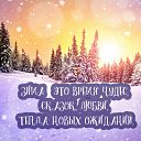   , -, 49  -  16  2021    