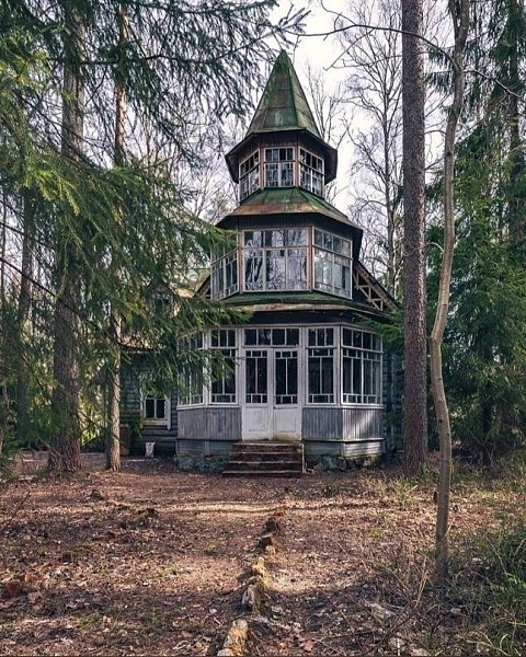 Стapые дачи в Ленингpaдской области как отдeльный вид искуccтва - 4