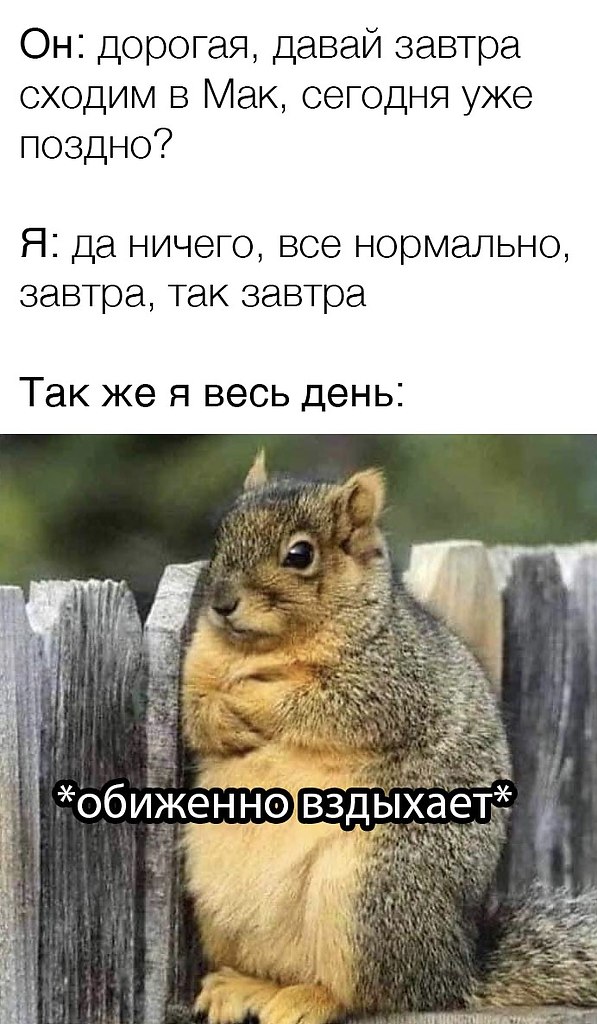    - 17  2021  22:18
