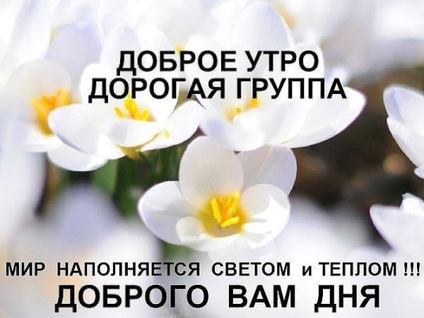   ,    . - 6  2020  08:20