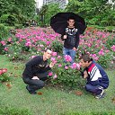  , , 56  -  27  2020      ໻