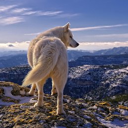 Ruslan, ������, 47 ���