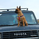 ���� �������, ������ - ��������� 14 �������� 2020 � ������ ������ ��������