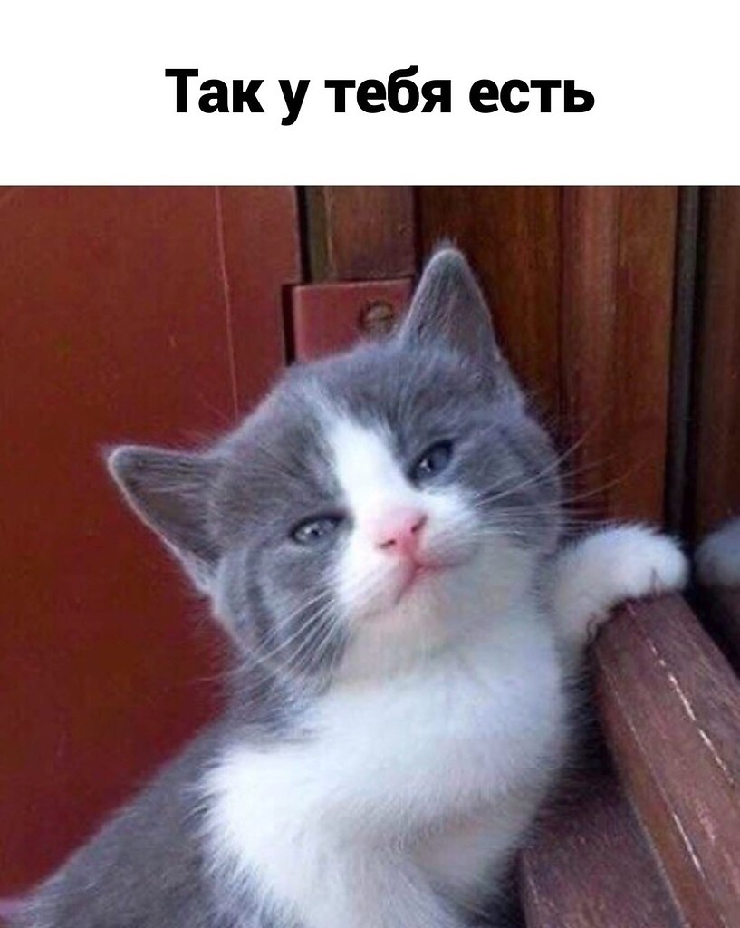   ... - 3