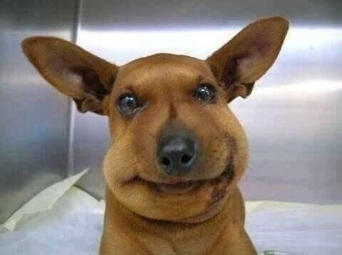    . ,  .     ? 
