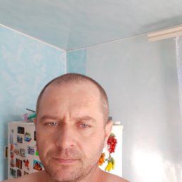 , 42, 