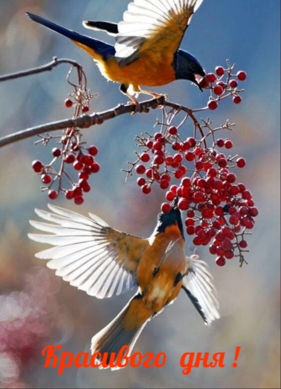   ,    . - 17  2020  23:40 - 8