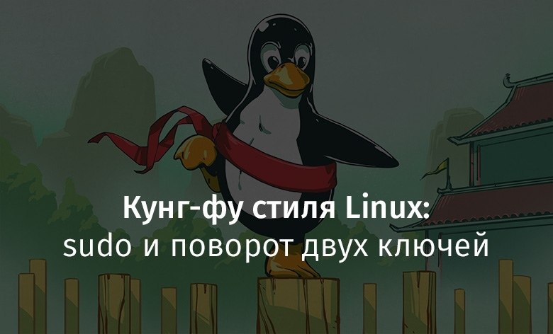 -  Linux: sudo    .   ,      ...