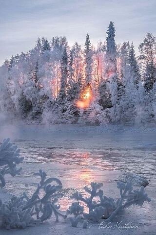 Последняя неделя января ... Он пролетел так быстро . Незаметно . А в памяти ещё огни горят И яркие ...