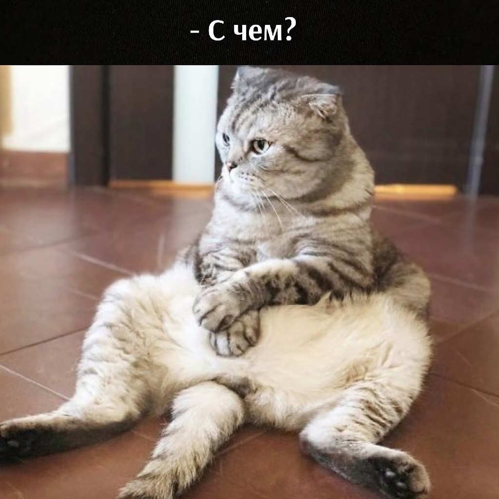       - 21  2021  19:18 - 2