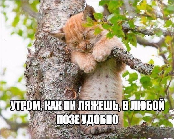    - 27  2020  19:09
