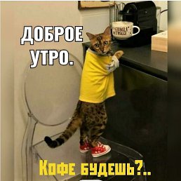 ���� �����, ������ ��������, 51 ��� - ��������� 17 ����� 2021