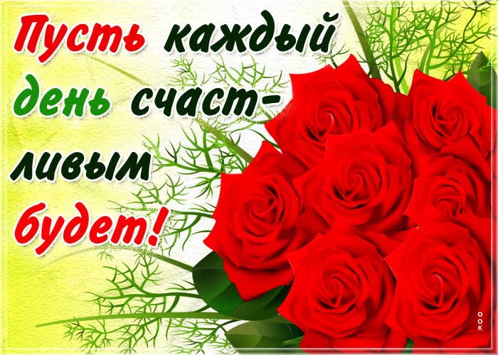 ��� �������� - 14 ������� 2020 � 19:03