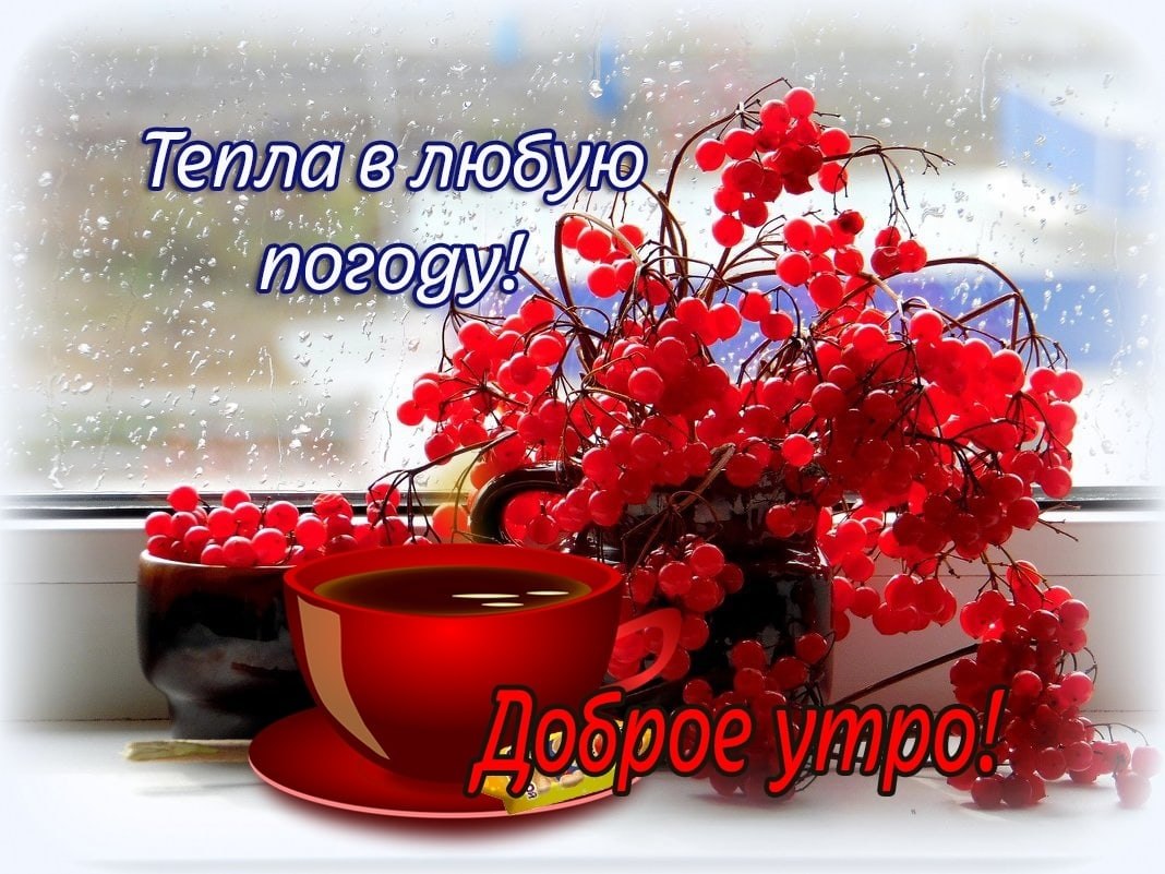   ,    . - 18  2020  00:05 - 9