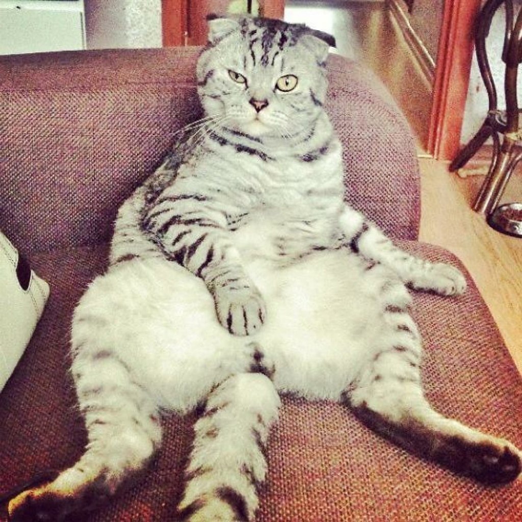       - 21  2021  19:18 - 4