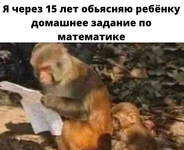 Когда и сам ничего не понимаю в ней , пытаюсь разобраться во второй раз
