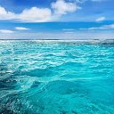 ���� �����, ����, 58 ��� - ��������� 15 ������ 2020 � ������ ���� ����������