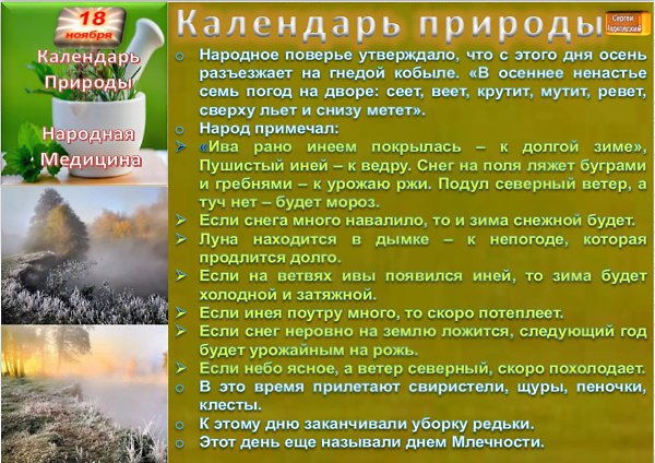   ,    . - 17  2020  22:54 - 4