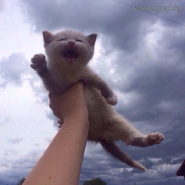 ! )